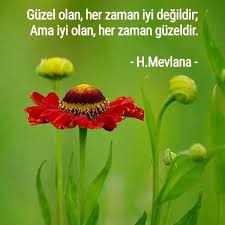 Pinterest Pinterest