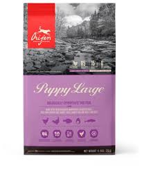 A veterinary surgeon performed emergency surgery, and after a long healing process river could walk and run like any other puppy! Orijen Puppy Large Breed
