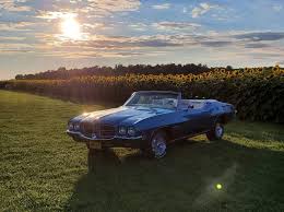 Image result for Montreux Blue 1967 GTO