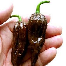 Sign up for free today! Top 10 Most Popular Pepper Jolokia Brands And Get Free Shipping A912