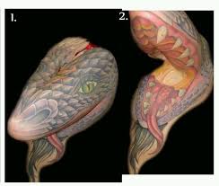 Pin By Tattoodo On Armpit Tattoos Armpit Tattoo Cool Tattoos Tattoos