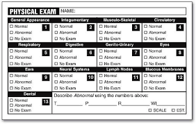 chart of accounts for veterinary practice yahoo image