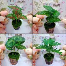 Tak ada salahnya memilih tanaman hijau berukuran kecil seperti kaktus mini untuk memberikan nuansa hijau ke dalam ruang tamu anda. Naindo Bunga Bonsai Daun Bunga Pajangan Hiasan Ruang Tamu Dan Kantor Shopee Indonesia