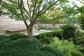 Outdoor gardens japanese maple garden japanese maple tree front yard landscaping landscaping images palm trees landscaping japanese maples are magnificent small trees to help create your zen garden along with water features, buddha statues and shaded sitting areas. We Build Executive Homes Xyz Group