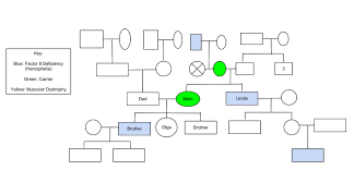 in sickness and in health a trip to the genetic counselor