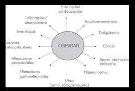 La anemia es una enfermedad en la que la sangre tiene menos glóbulos rojos de lo normal.3 la anemia que habitualmente acompaña a la artritis reumatoide es moderada y asintomática. Comorbilidades Asociadas Con La Obesidad Download Scientific Diagram