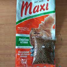 Ada banyak tipe ras kucing yang bisa anda rawat di rumah, salah satunya adalah persia. 8 Merk Makanan Kucing Yang Bagus Dan Murah Terbaru 2020 Hobinatang
