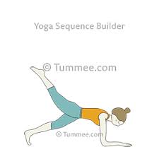 Bird Of Paradise Yoga Pose Modifications Dolphin Plank Variation One Leg Raised Catur Svanasana Phalakasana Variation One Leg Raised Variations 60 Variations Of Dolphin Plank Variation One Leg Rais Plank Pose Yoga Plank Variations Plank Pose