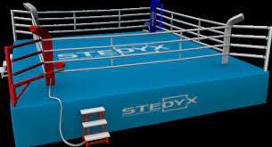 In short, de la hoya was the embodiment of the american. Https Www Stedyx Com En Summary Sheet 3
