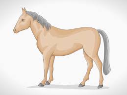 Learn how to draw a cartoon horse that is running (galloping) and charging towards something. How To Draw A Simple Horse With Pictures Wikihow