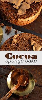 Cocoa Sponge Cake Made With Callebaut Cocoa Powder For A Powerful Cocoa Taste An Intense Colour And A Light Chocolate Recipes Pastry Recipes How To Make Cake