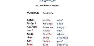 Buzzfeed staff can you beat your friends at this quiz? French Adjectives Quiz Interesting Trivia Proprofs Quiz