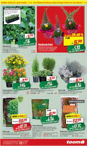 Finden sie gartenpflanzen angebote von toom baumarkt und weiteren händlern. Toom Baumarkt Aktueller Prospekt 19 09 25 09 2020 3 Jedewoche Rabatte De