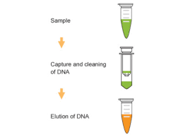 Pcr Product Purification Kits Biocompare