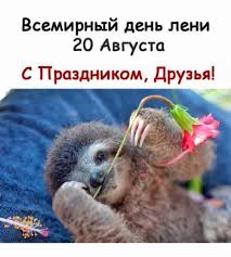 Всемирный день лени придумали в колумбии. 20 Avgusta Vsemirnyj Den Leni Koala Bear Koala Bear