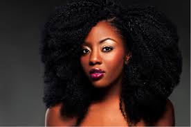 Pin By Makini On Big Hair Don T Care Natural Hair Styles Heat Free Hairstyles Natural Hair Beauty