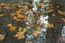 Persiste Doble Alerta Amarilla Continuan Las Tormentas Y Vientos Fuertes La Diaria Uruguay