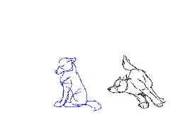 Wolf Fight Animation Sketches Animal Drawings Animated Drawings