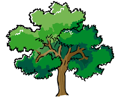 Web Development Tree Outline Tree Art Tree Clipart