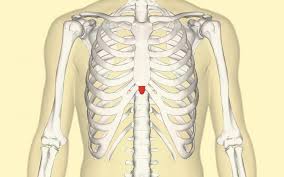 Maybe you would like to learn more about one of these? Xiphoid Process Pain Lump And Removal