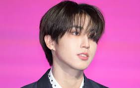 Stray Kids' Han drops new self-composed track '13'