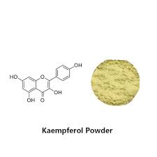 Għandek bżonn Suppliment Kaempferol? - Għarfien - Xi'an Gaoyuan Bio-Chem  Co., Ltd.