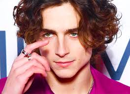 Timothée chalamet pranked by tilda swinton during standing ovation for the french dispatch. Timothee Chalamet To Play Willy Wonka In The Origin Story Set For March 2023 Release Bollywood News Bollywood Hungama
