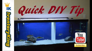 Pin On African Cichlids