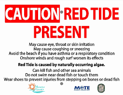 Red Tide Flu Nothing To Sneeze At Ami Sun