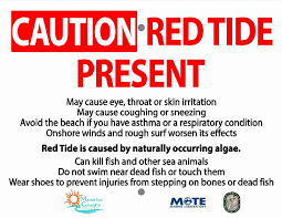 red tide flu nothing to sneeze at ami sun