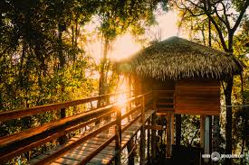 Juma Amazon Lodge: como é a estadia em um hotel de selva na ...