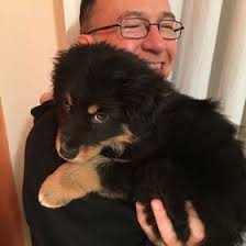 Wade Roush (waderoush) — профиль