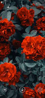 Vibe Aesthetic Wallpaper 4k On The App Store Aesthetic Wallpapers Backgrounds Phone Wallpapers Wallpaper