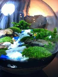Raging River In Terrarium Minyatur Bahceler Yaratici Terrarium