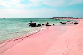 Pink sand beach on the atlantic side was beautiful. The Unique Pink Sands Beach In Harbour Island The Bahamas Places To See In Your Lifetime