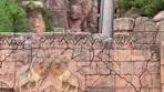 Temple of Courage: The Scariest Ride at Sun City
