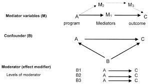 Mediation is about mechanism (m) that explain why x effects y. Toward A Better Understanding Of The Influences On Physical Activity American Journal Of Preventive Medicine