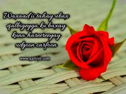 Photos of couples wallpaper, love photos only, love photos of lovers features of this message above thank you so much for watching this video by sweet love text messages channel. Ubax Jacayl Sawiro