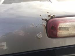 The car is kind of a beater, so i wasn't too concerned with making it look perfect. Glenn S Auto Performance 2002 Gmc Sierra 1500hd Roof Rust Repair