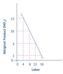 Quiz 7 Flashcards Quizlet
