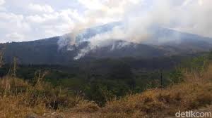 Berwisata ke tempat ini selalu menarik. Broadcast Network Hutan Desa Setianegara 21 Tempat Wisata Kuningan Jawa Barat Yang Sedang Hits Dikunjungi Kawasan Hutan Setianegara Menyimpan Keanekaragaman Flora Dan Fauna Alam Yang Asri Dan Udara Yang Sejuk