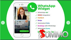 It is only the unlocker; Group Buy Whatsapp Widget Plan