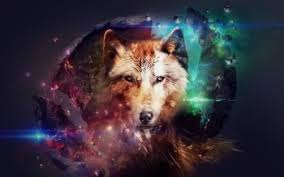 Wolf wallpaper hd 4k is an application that provides the highest quality wallpapers for anyone who loves wolf wallpaper hd. 1070 Wolf Hd Wallpapers Background Images Wallpaper Abyss