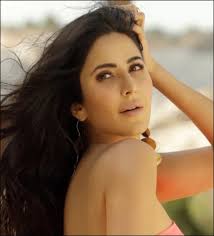 Tiger 3 actress Katrina Kaif's 5 sources of income (apart from movies) that  contribute to her net worth of Rs 224 Crore