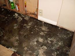 We did not find results for: Cars Trucks Vehicles Coupes Suvs Asbestos Carpet Glue