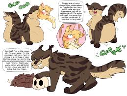 Shoelace ⚠️COMMISSIONS OPEN⚠️ on X: Felt like we havent done a proper Warrior  Cats art in decades~ So here is possessed Bramblestar, showing you exactly  how a clan should be lead~ Poor