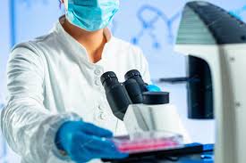 Epingle Sur Biologie Cellulaire