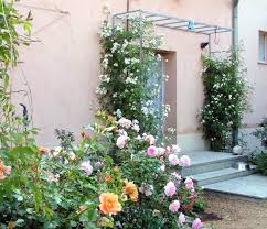 In der wikipedia» hat jeder artikel auch zu pflanzen die funktion, um fragen zu stellen, siehe oben diskussion. Fur Unsere Haustur Gefunden Auf Http Forum Garten Pur De Index Php Action Dlattach Topic 22087 0 Attach 76179 Image Garten Pur Kletterrosen Garten