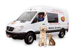 Maybe you would like to learn more about one of these? Aussie Pet Mobile 1488 Wheaton Cv Memphis Tn 38117 Yp Com