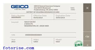 Such as png, jpg, animated gifs, pic art, logo, black and white, transparent, etc. Blank Geico Insurance Card Shefalitayal